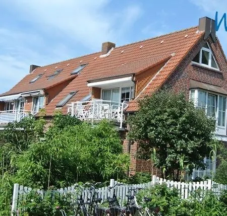 Zauber - Haus 3 Strandaster *