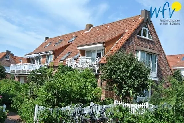 Zauber - Haus 3 Strandaster *